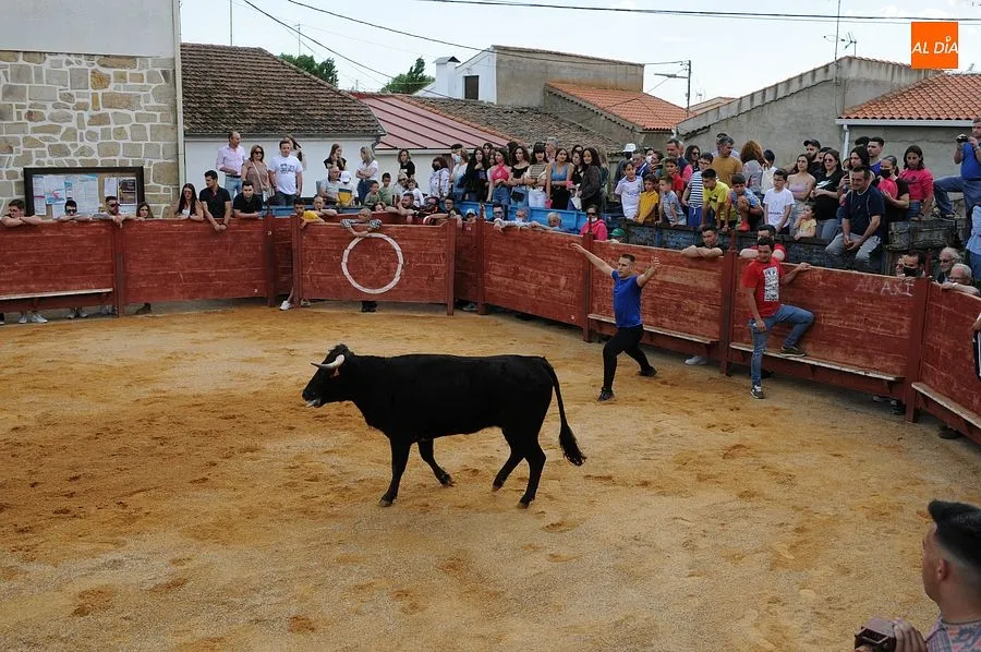 Momentos en las calles de Cabrillas con el Toro del cajón| Rep.Gráfico: Adrián M. Pastor