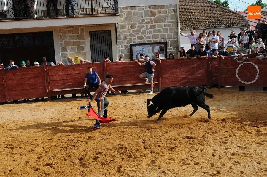 Momentos en las calles de Cabrillas con el Toro del cajón| Rep.Gráfico: Adrián M. Pastor