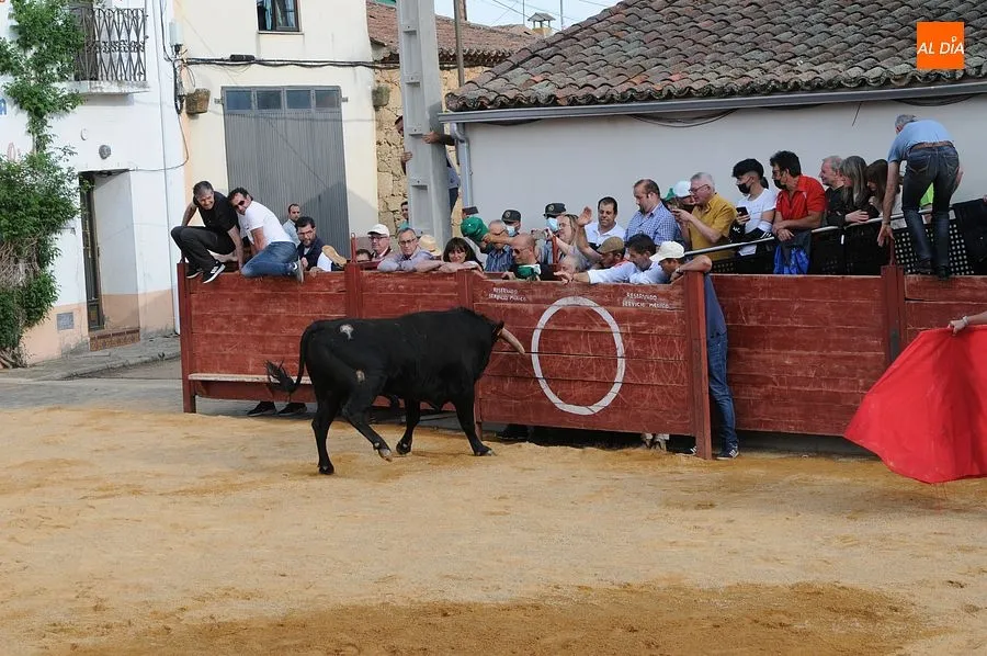 Momentos en las calles de Cabrillas con el Toro del cajón| Rep.Gráfico: Adrián M. Pastor