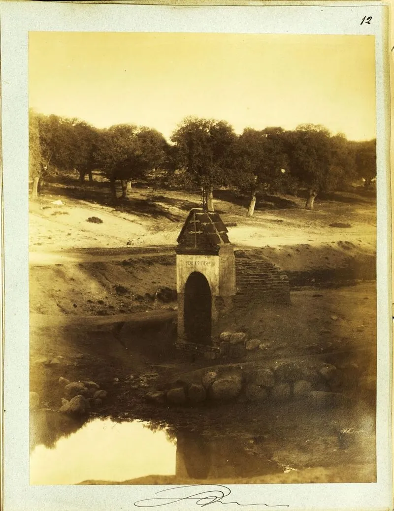 Foto 5 - As&iacute; es el &aacute;lbum &lsquo;Recuerdos de Santa Teresa en Salamanca y Alba de Tormes&rsquo; (1882)