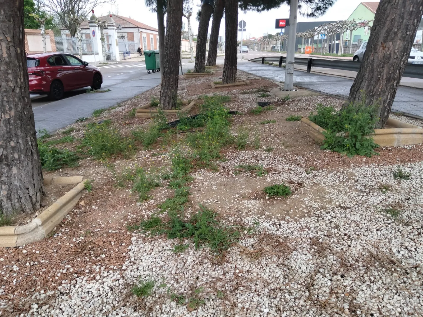 Foto 6 - Ciudadanos pide "tomar cartas en el asunto" en la mejora de las zonas verdes de la ciudad