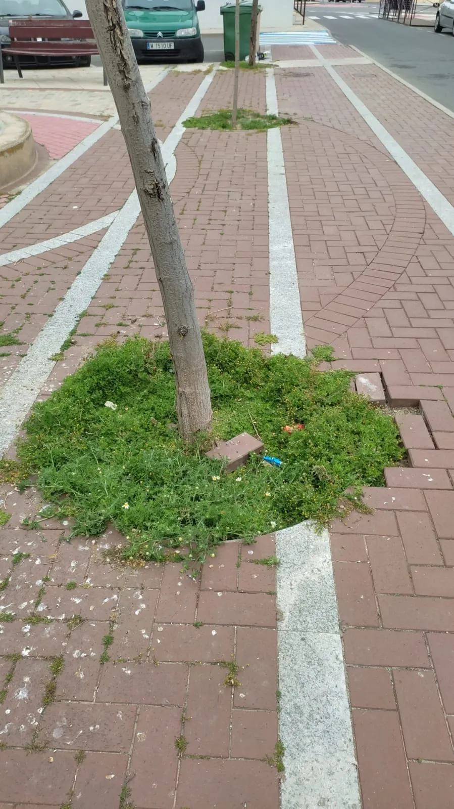 Foto 5 - Ciudadanos pide "tomar cartas en el asunto" en la mejora de las zonas verdes de la ciudad
