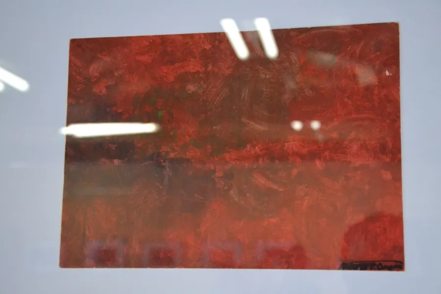 Foto 11 - Antonio Baigorri da a conocer en el Espacio i su original pintura terap&eacute;utica
