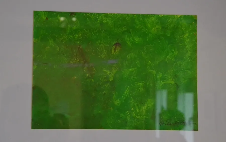Foto 9 - Antonio Baigorri da a conocer en el Espacio i su original pintura terap&eacute;utica