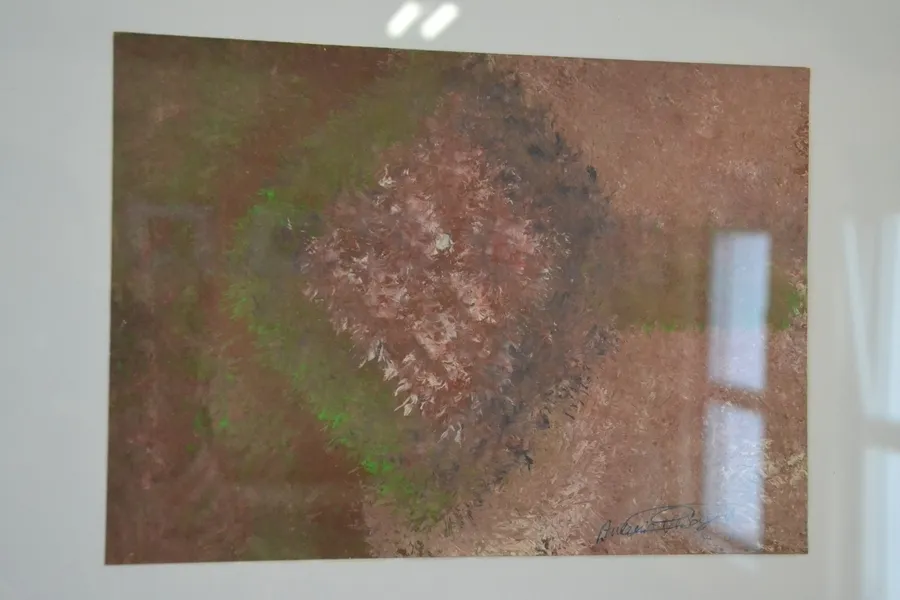 Foto 6 - Antonio Baigorri da a conocer en el Espacio i su original pintura terap&eacute;utica
