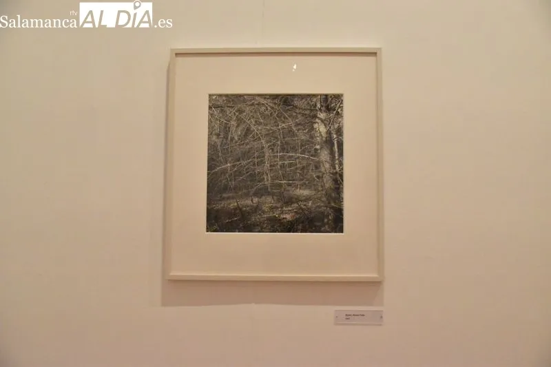 Presentación de la exposición ‘Lee Friedlander’ en el Museo DA2 | Fotos: Vanesa Martins