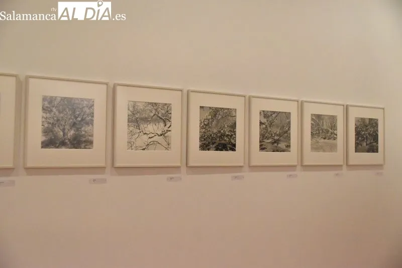Presentación de la exposición ‘Lee Friedlander’ en el Museo DA2 | Fotos: Vanesa Martins