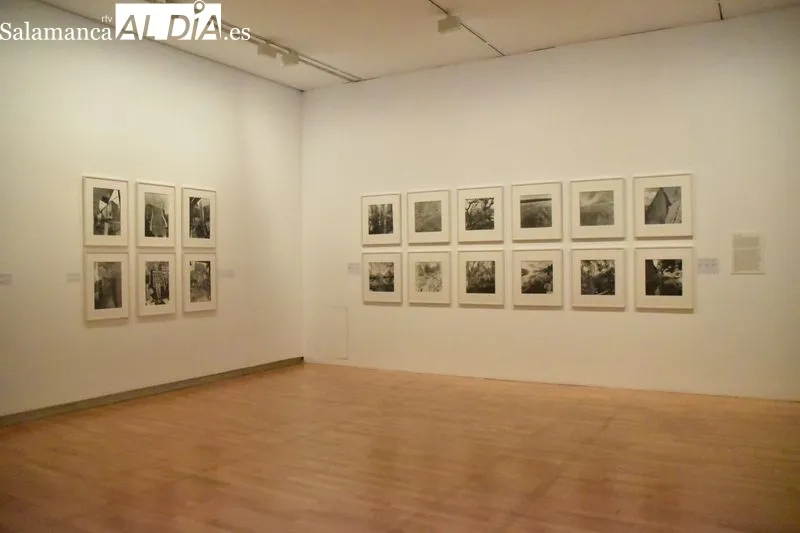 Presentación de la exposición ‘Lee Friedlander’ en el Museo DA2 | Fotos: Vanesa Martins