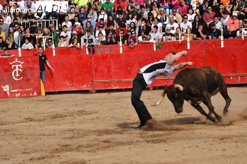 Tarde taurina en Villamayor