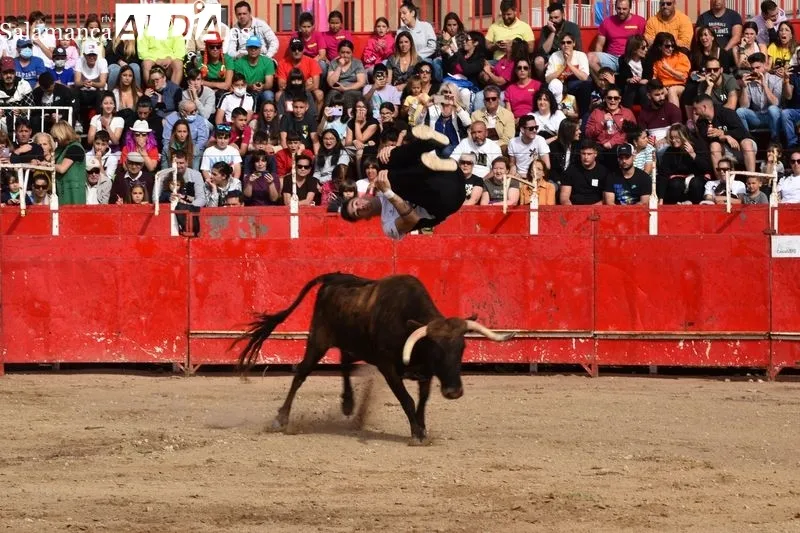 Tarde taurina en Villamayor
