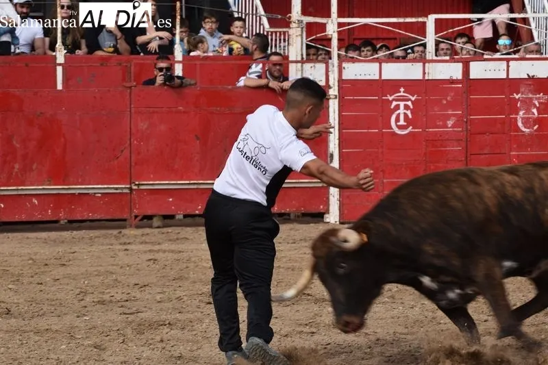 Tarde taurina en Villamayor
