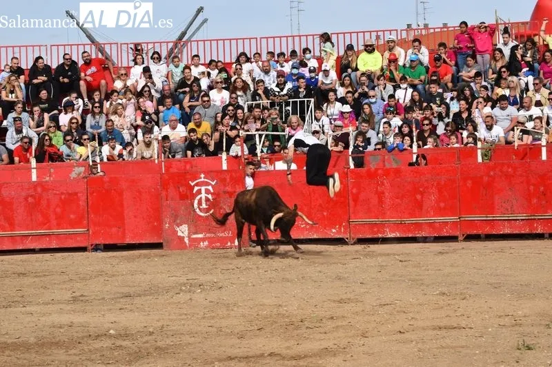 Tarde taurina en Villamayor