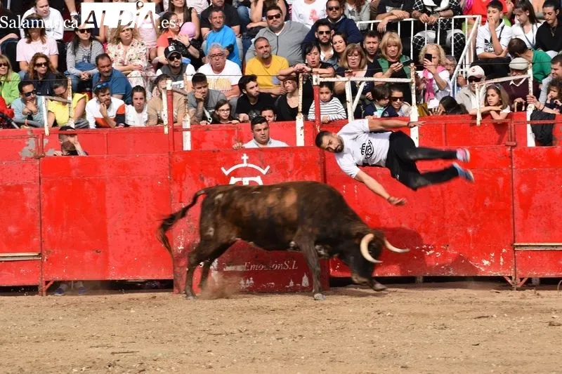 Tarde taurina en Villamayor