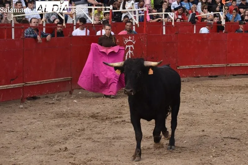 Tarde taurina en Villamayor