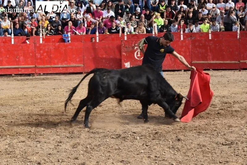 Tarde taurina en Villamayor