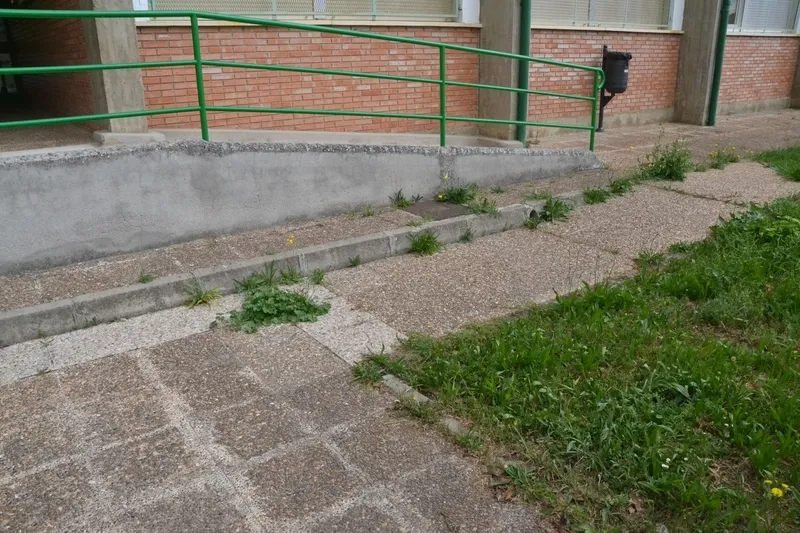 Foto 7 - Quejas por el estado de la hierba del patio del Colegio El Puente
