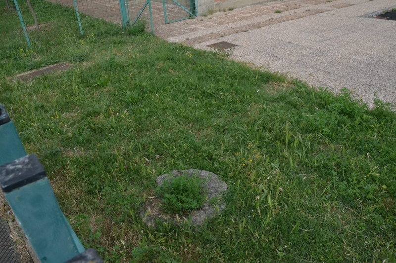 Foto 6 - Quejas por el estado de la hierba del patio del Colegio El Puente