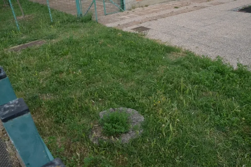 Foto 6 - Quejas por el estado de la hierba del patio del Colegio El Puente