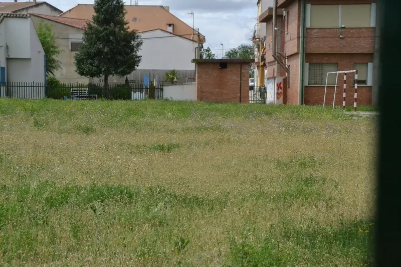 Foto 3 - Quejas por el estado de la hierba del patio del Colegio El Puente