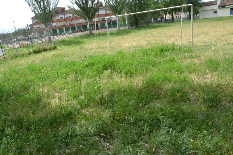 Foto 2 - Quejas por el estado de la hierba del patio del Colegio El Puente