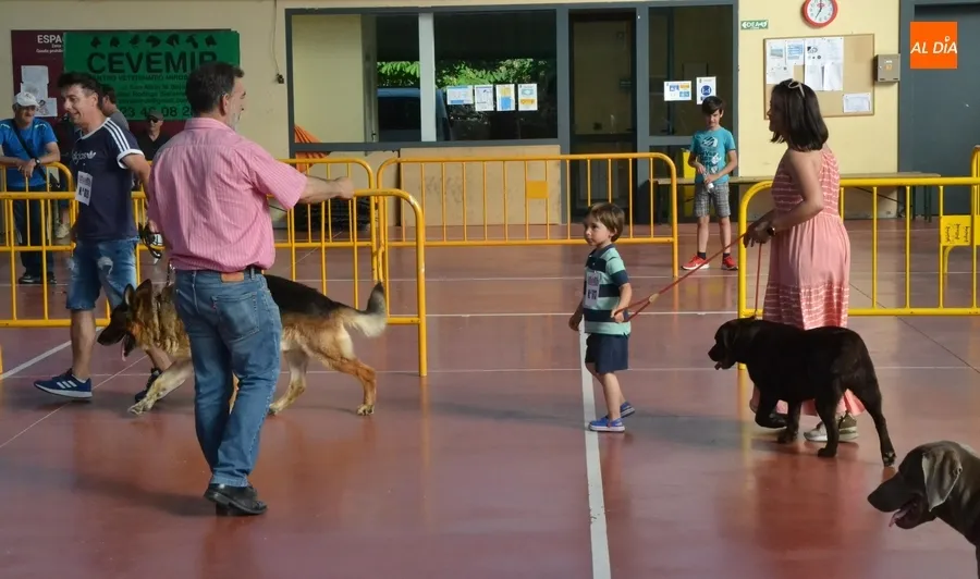 Foto 11 - M&aacute;s de una veintena de perros y dos ratas toman parte en el desfile del D&iacute;a de la Mascota