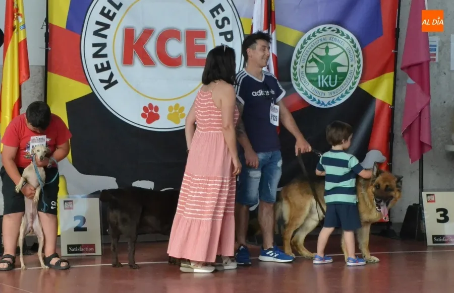 Foto 8 - M&aacute;s de una veintena de perros y dos ratas toman parte en el desfile del D&iacute;a de la Mascota