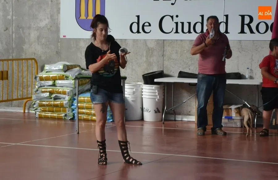 Foto 7 - M&aacute;s de una veintena de perros y dos ratas toman parte en el desfile del D&iacute;a de la Mascota
