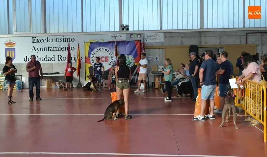 Foto 5 - M&aacute;s de una veintena de perros y dos ratas toman parte en el desfile del D&iacute;a de la Mascota
