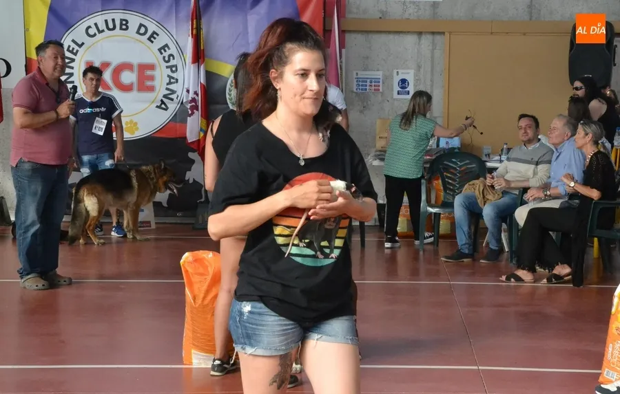 Foto 4 - M&aacute;s de una veintena de perros y dos ratas toman parte en el desfile del D&iacute;a de la Mascota