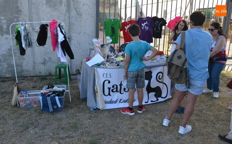 Foto 3 - M&aacute;s de una veintena de perros y dos ratas toman parte en el desfile del D&iacute;a de la Mascota