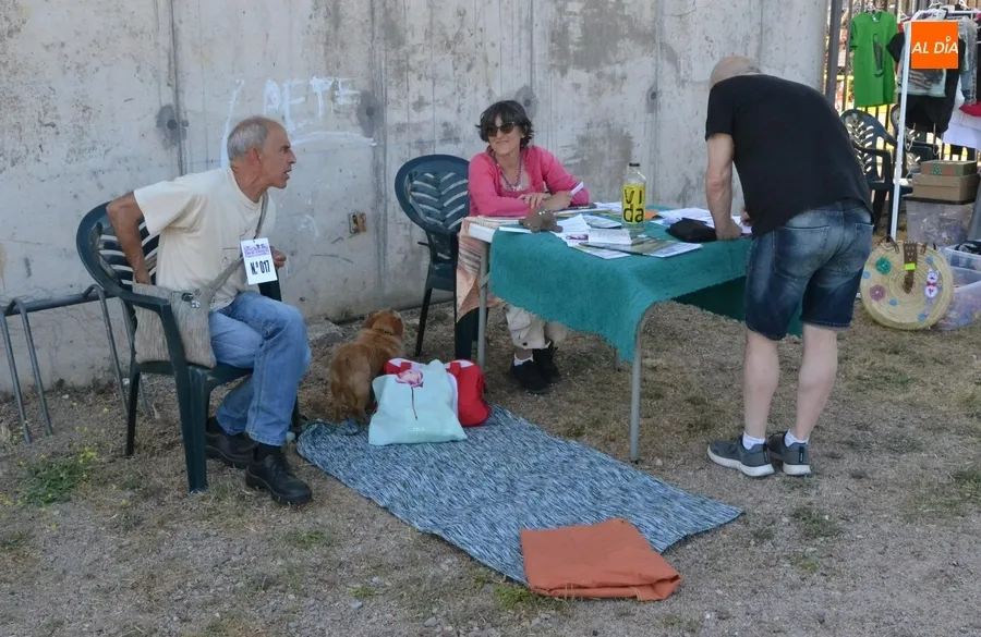 Foto 2 - M&aacute;s de una veintena de perros y dos ratas toman parte en el desfile del D&iacute;a de la Mascota