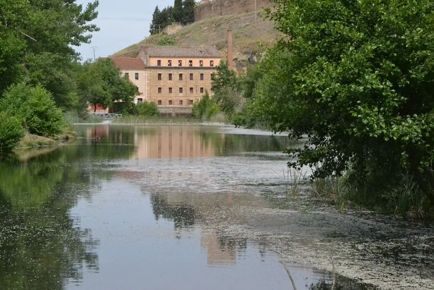Foto 4 - 1Foto: Las aguas del &Aacute;gueda se visten de primavera