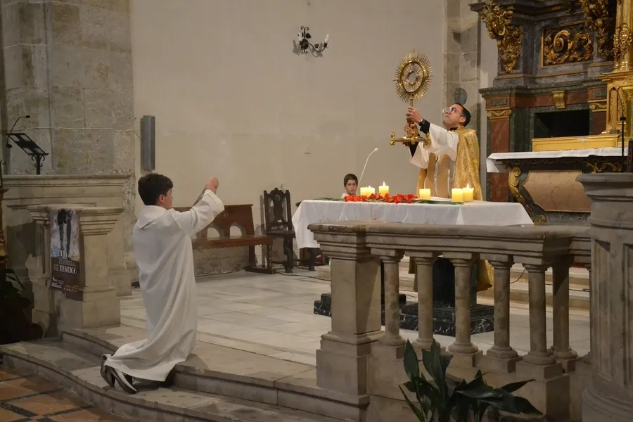 Foto 4 - Una Vigilia pone el broche a las &lsquo;12 Horas de Oraci&oacute;n por las Vocaciones&rsquo;