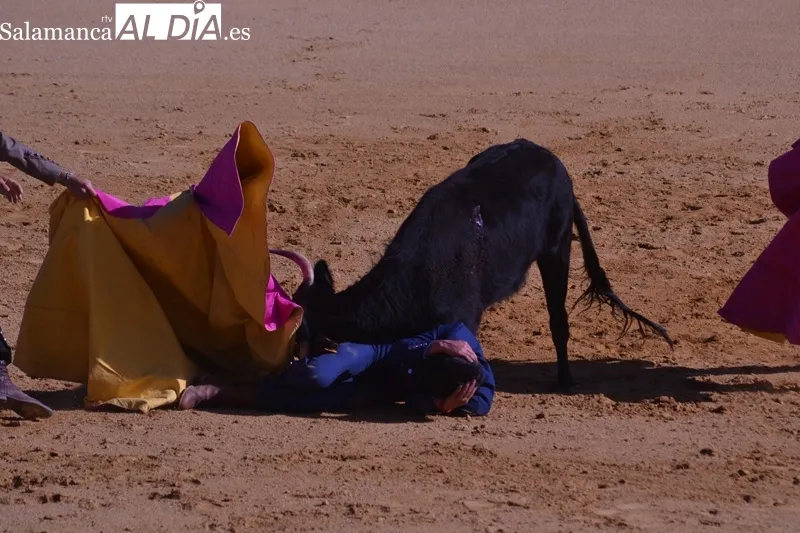 La Florida acogía este domingo la final del XI Bolsín Taurino Ciudad de Peñaranda