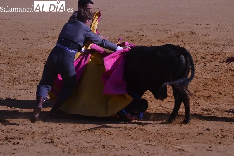 La Florida acogía este domingo la final del XI Bolsín Taurino Ciudad de Peñaranda