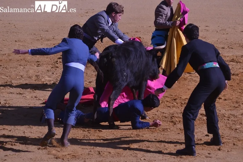 La Florida acogía este domingo la final del XI Bolsín Taurino Ciudad de Peñaranda