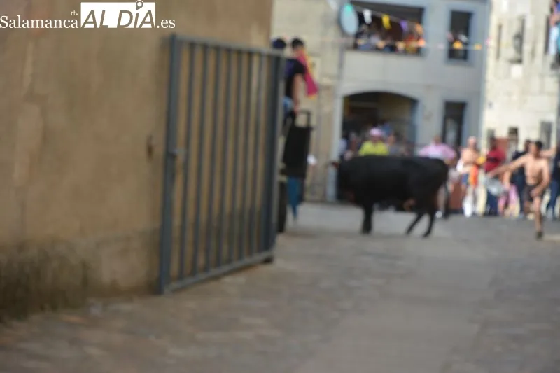 La plaza de carros acogió la lidia de dos novillos y una capea 
