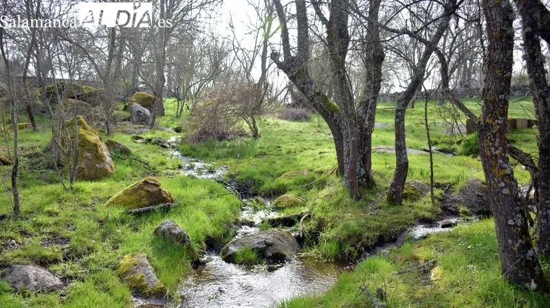 La ruta recorre parajes de singular belleza natural 