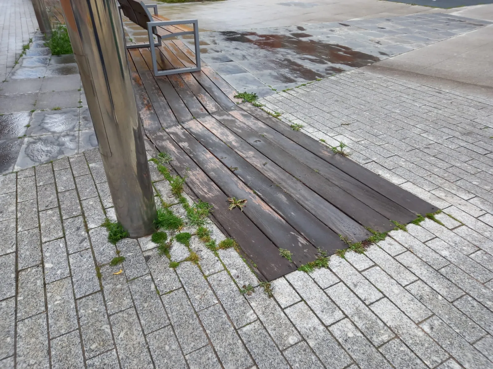 Foto 9 - Ciudadanos pide "tomar cartas en el asunto" en la mejora de las zonas verdes de la ciudad