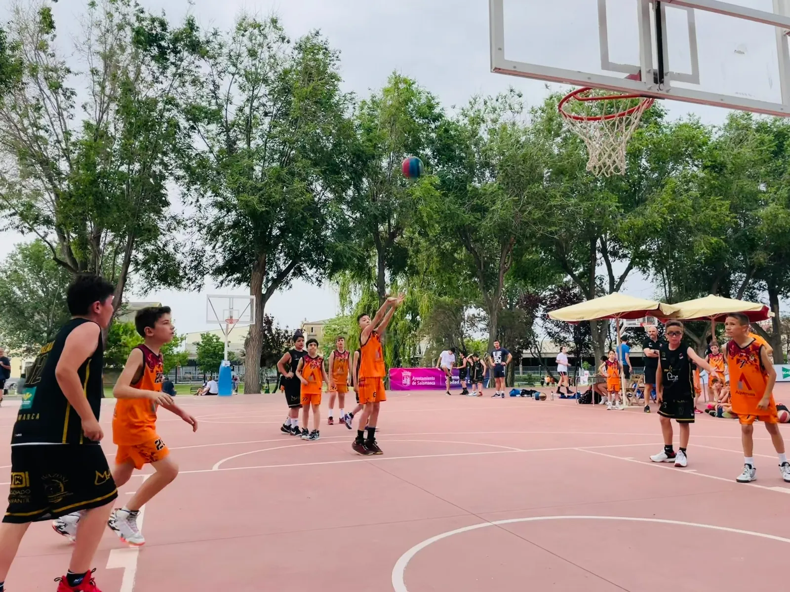 Foto 6 - M&aacute;s de medio millar de ni&ntilde;os disfrutan del D&iacute;a del Minibasket