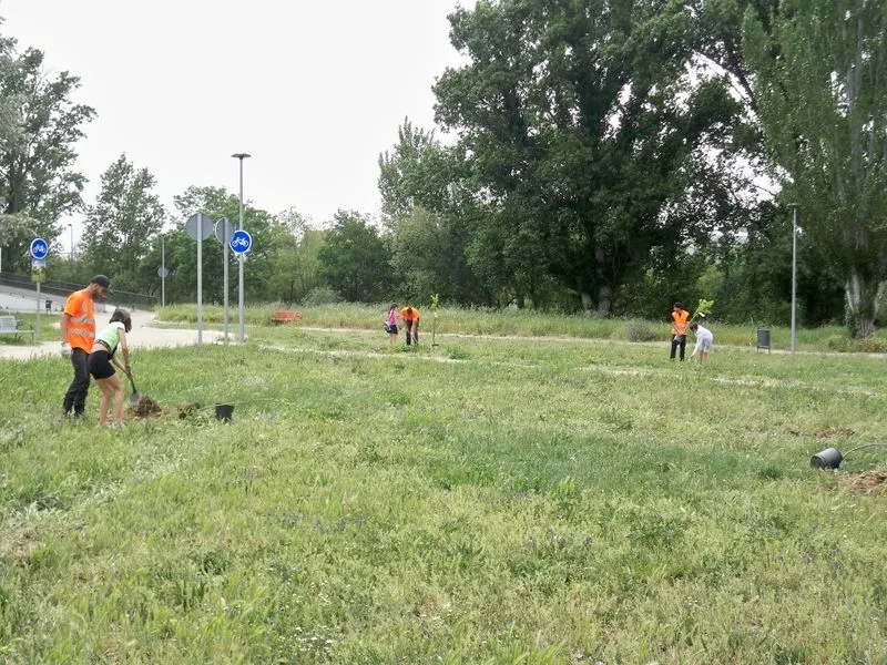 Reforestación del Paseo Fluvial de La Fontana