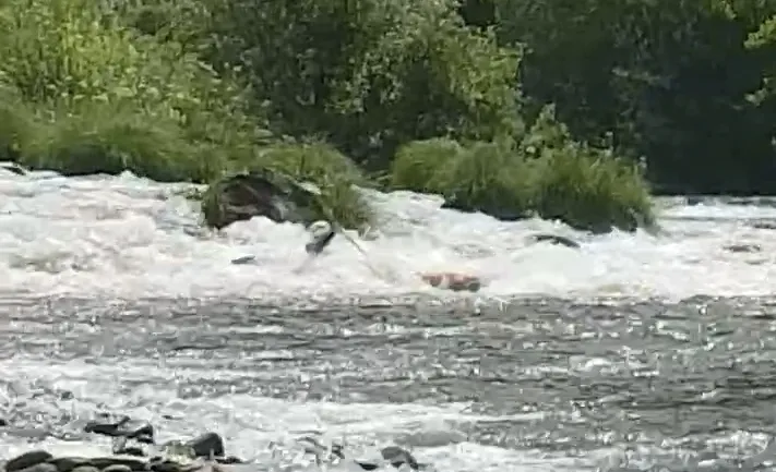 Foto 2 - Capit&aacute;n Nemo logra tres medallas en el Campeonato de Espa&ntilde;a de Descenso en Aguas Bravas
