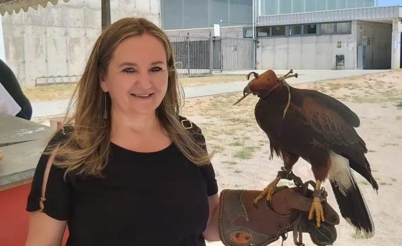 Foto 3 - Recuperado el &aacute;guila Harris que se escap&oacute; durante la Feria de Mayo