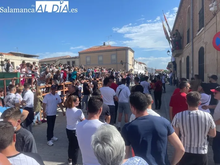 El Toro de San Isidro volvía este sábado a las calles de Cantalpino