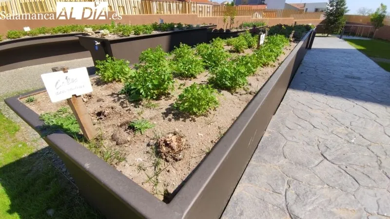 Los residentes de Guijuelo ya disfrutan del nuevo jardín - KR