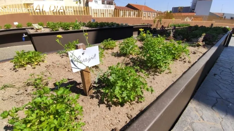 Los residentes de Guijuelo ya disfrutan del nuevo jardín - KR
