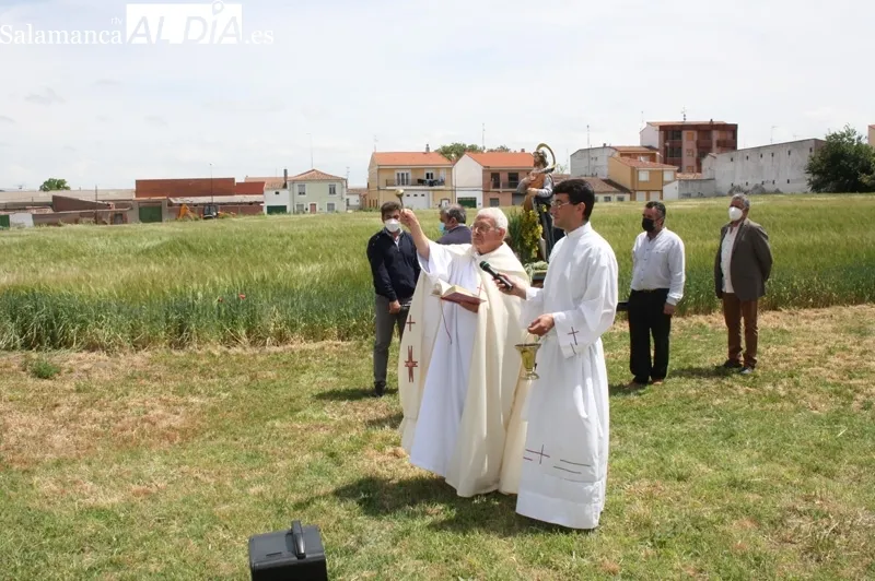 La festividad de San Isidro ha vuelto a las calles de Peñaranda