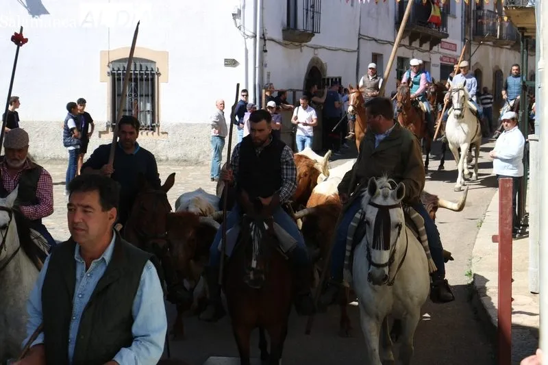 Primer encierro de las fiestas del Noveno en San Felices de los Gallegos / CORRAL 