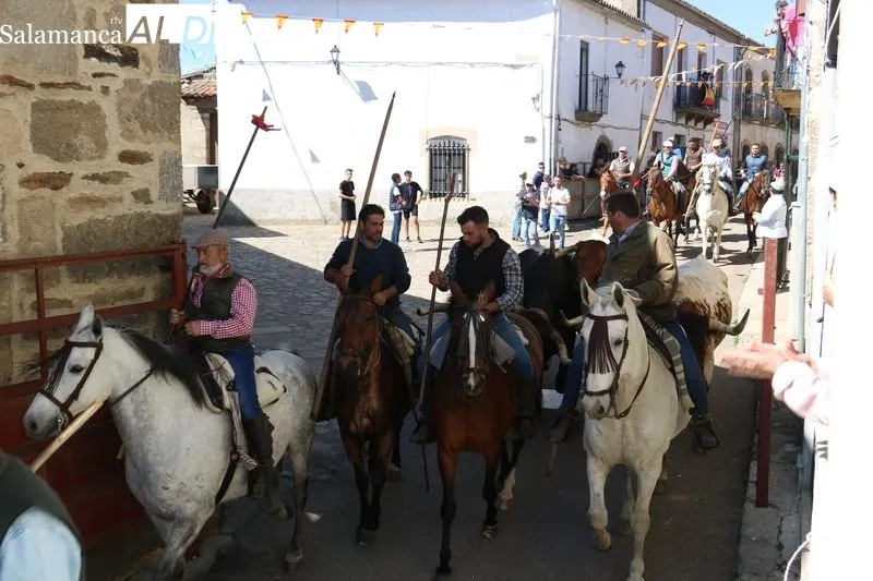 Primer encierro de las fiestas del Noveno en San Felices de los Gallegos / CORRAL 