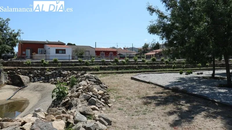 Clausura del taller de empleo de jardinería en Villarino de los Aires / CORRAL